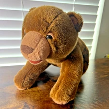 Kohls Eric Carle Brown Bear Plush 11 Inch 2008 Stuffed Animal Toy Doll Cares EUC