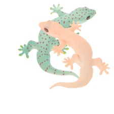 2 Pcs Plastic Lizard Simulation Toy Figure Artificial Ornament Fake Model