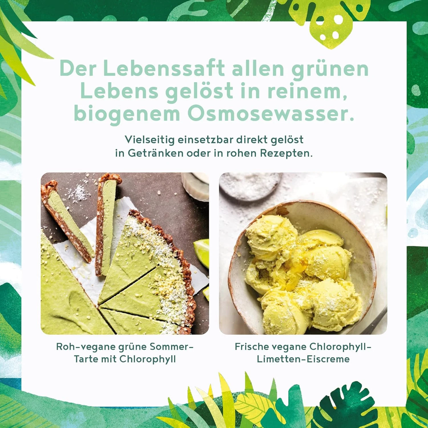 Bild 6 von 10