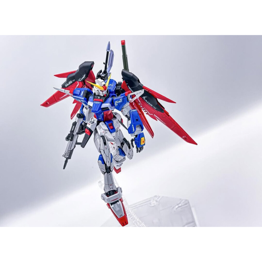 Rg 1/144 Destiny Gundam Titanium Finish | eBay