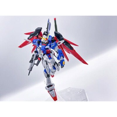 Rg 1/144 Destiny Gundam Titanium Finish | eBay