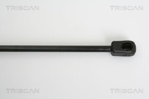 Vérin De Hayon Coffre CITROËN DS5 - TRISCAN TRN-8710 - Pour 2.0 HDI 165, 1.6 THP