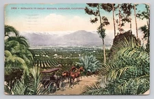 Entrance To Smiley Heights Redlands California 1912 Postcard