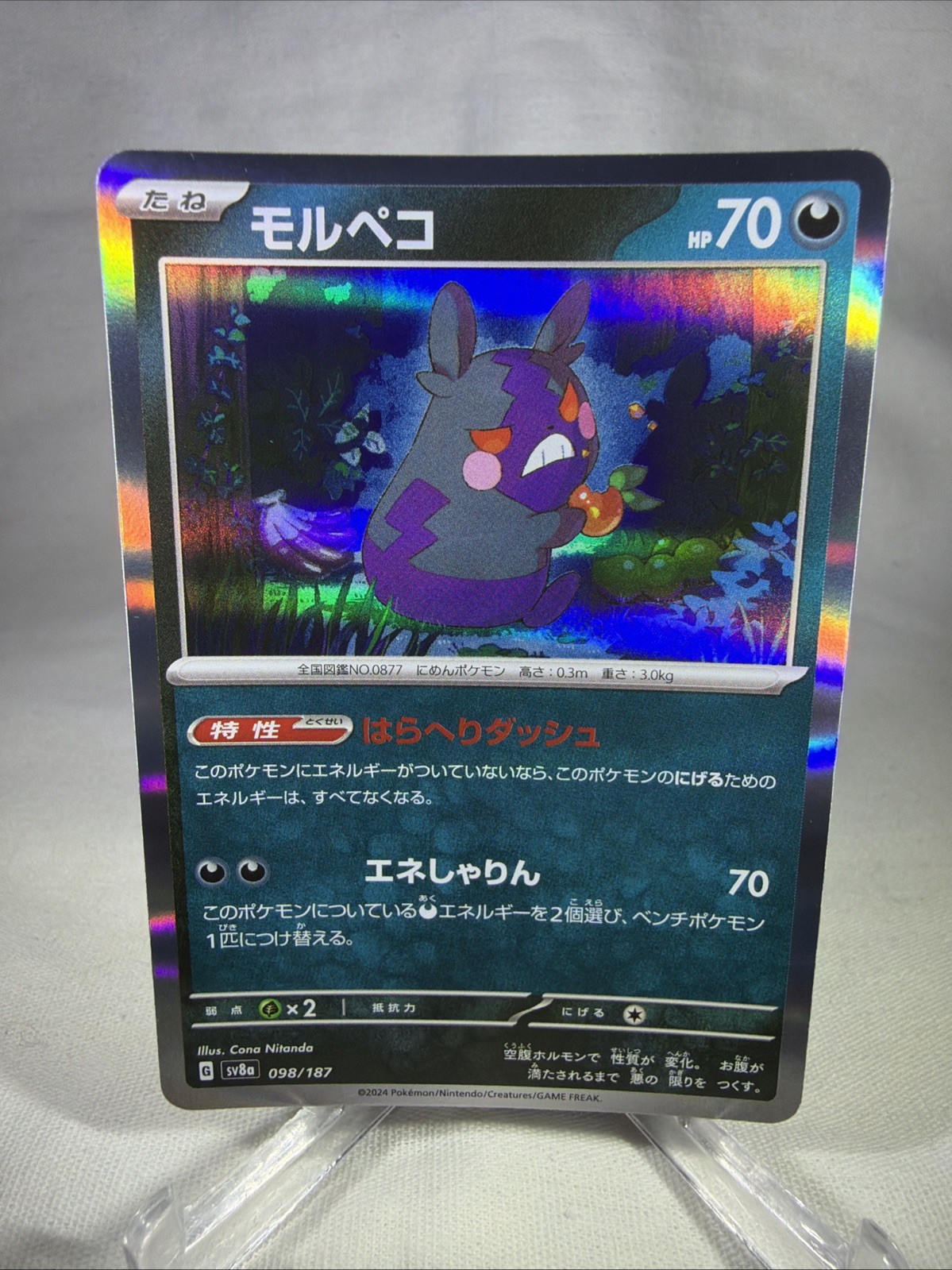 Morpeko Holo Rare Terastal Festival 098/187 NM Pokemon TCG Card Japanese