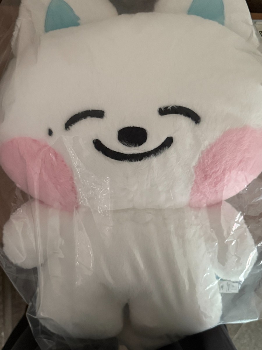 NCT DREAM POP-UP STORE DREAMIEZ DREAM FOREST MD BIG FLAT PLUSH