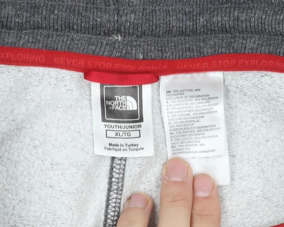 Pantalón Jogger The North Face Unisex Gris XLT Foto 4 de 4