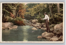 Fishing At Arrowhead Hot Springs, California Postcard