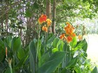 Bild 4 von 7