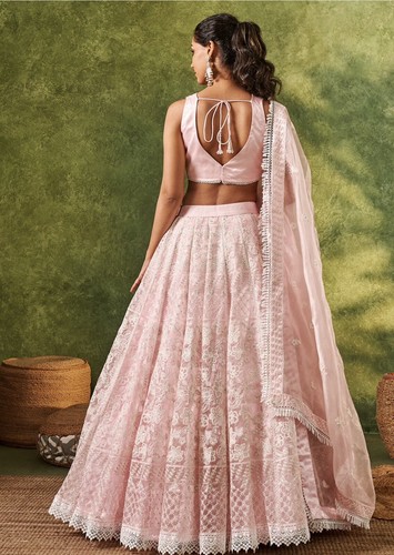 Light Pink Embroidered Organza Lehenga - Picture 2 of 3