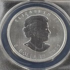 Picture 4 of 4