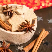 Vanilla Bean Noel Type Fragrance Oil for candle/soap making **Free Shipping**