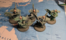 Warmachine Cryx Bane Warriors Mk IV playable unit of 5 Well painted (#2)