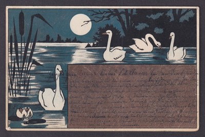 Vintage postcard GERMANY, Swans swim in the lake at night