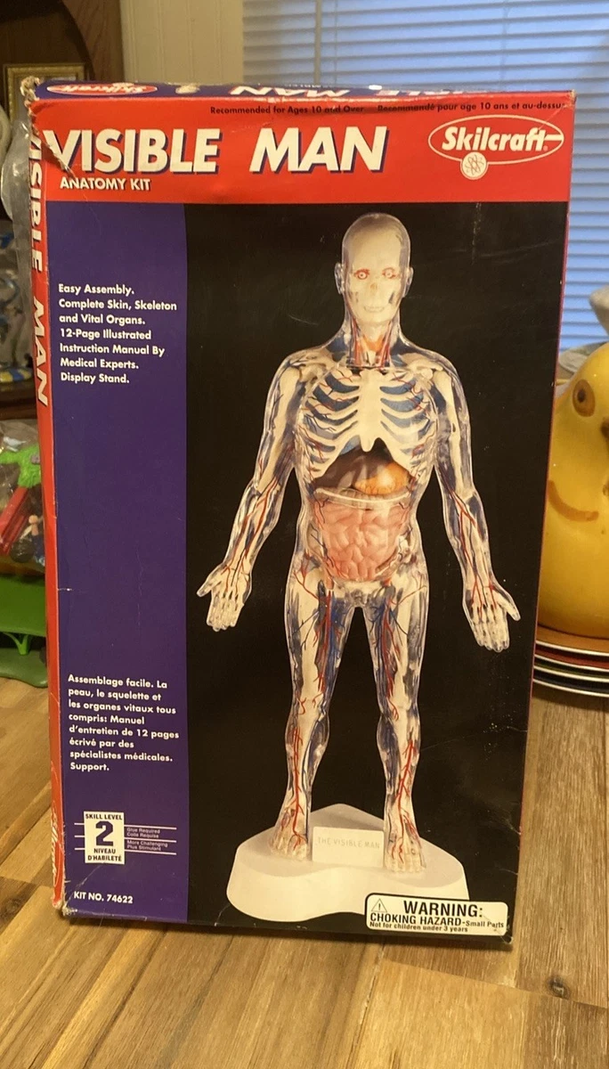 visible man products for sale | eBay