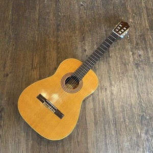 Zen on Guitar | eBay