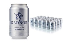 Radnor Spring Water Sparkling 330ml Pack of 24 Cans