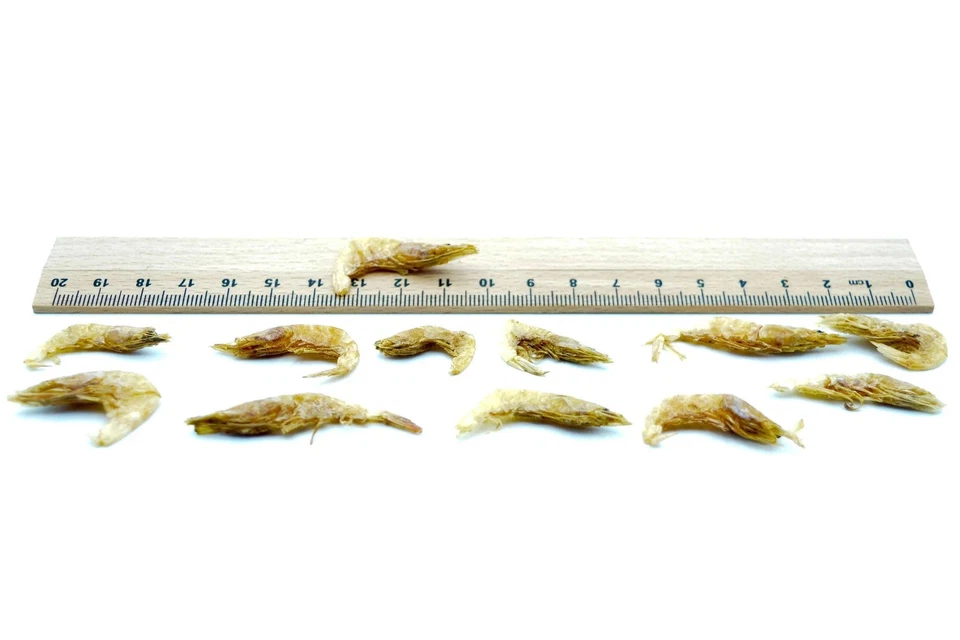 Garnelen 2-4 cm getrocknet (Shrimps) 0,2 - 20 KG, Teichfutter, Koi, Hunde, Vögel - Bild 3 von 3