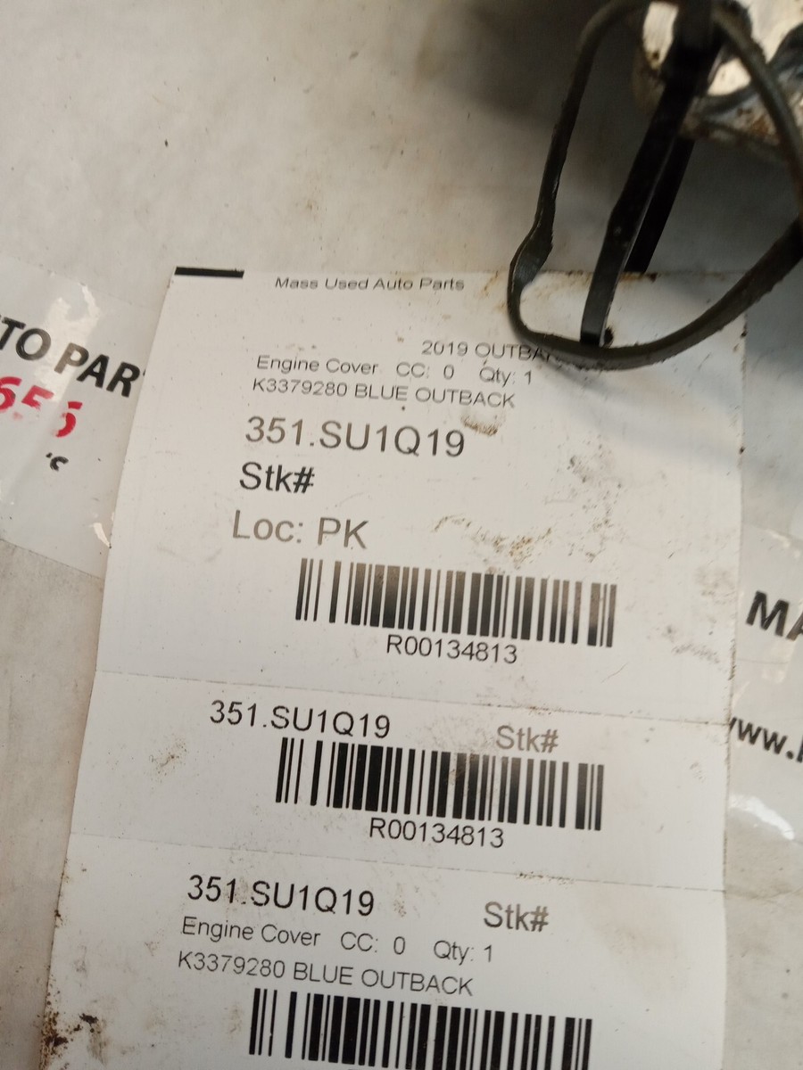 2015-2019 Subaru Outback 2.5L Engine Timing Chain Cover