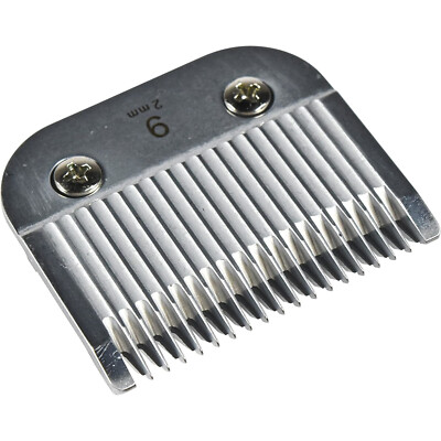 Toelettatura Animali Domestici: I Rischi Da Evitare | Il Salvagente - Foto 3