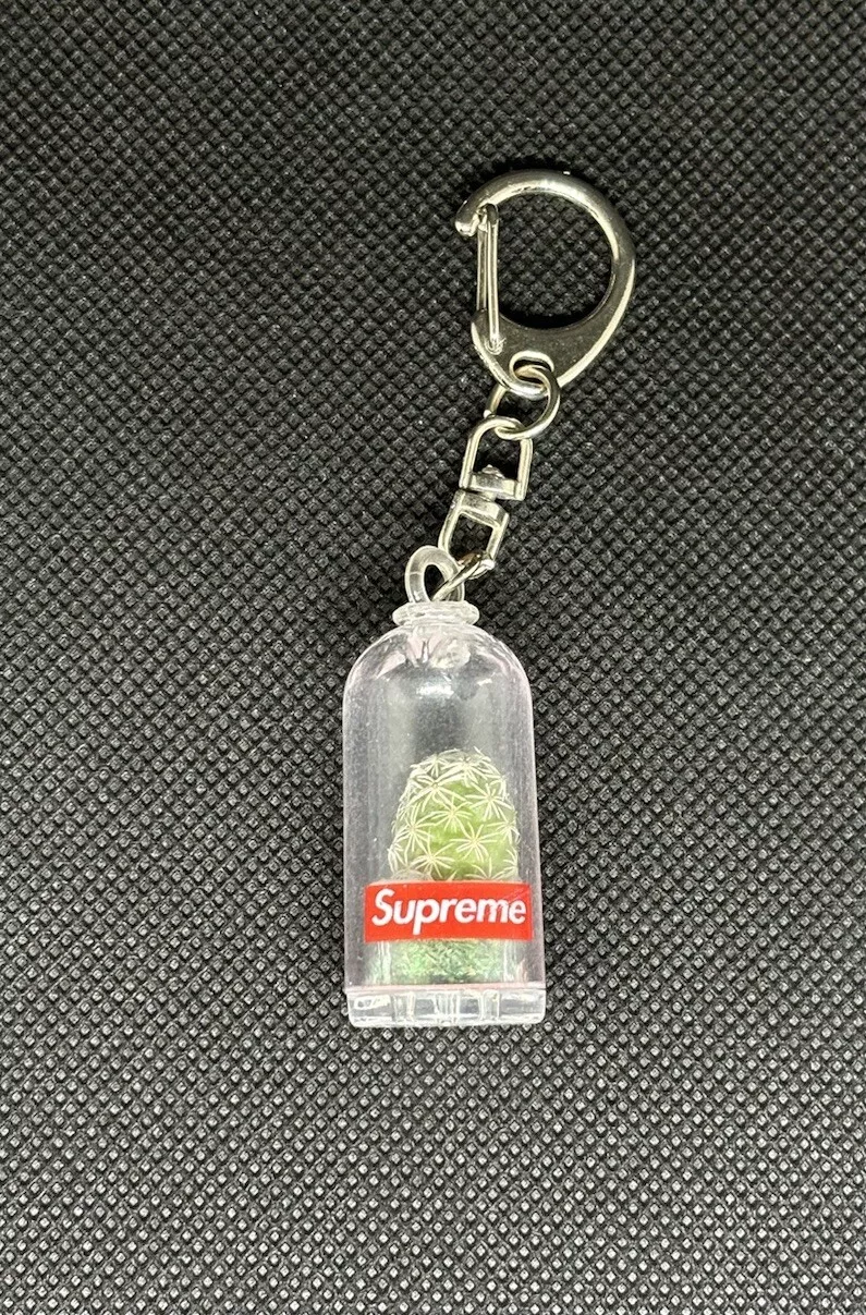Porte clés Supreme Cactus Boîte Logo SS18