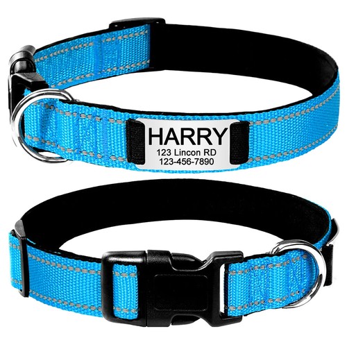 Personalisiertes Hundehalsband maßgeschneidert reflektierend graviert Name Ausweis Etikett weich gepolstert klein - Bild 7 von 21