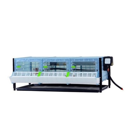 Chick Brooder - H:9.5'' Layer Addition