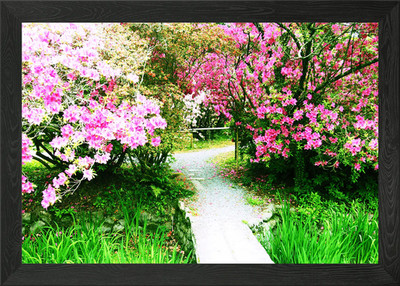 Blume kleine Ecke gerahmtes Wandbild Poster Leinwanddruck Bild