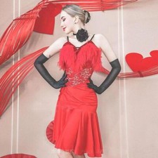 Latin Standard Ballroom Dance Show Performance Dress Rumba Samba Salsa Dancewear