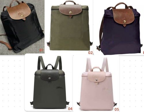 see description 5colors Longchamp Le Pliage M size Backpack Leather Zipper bag - 第 1/24 張圖片