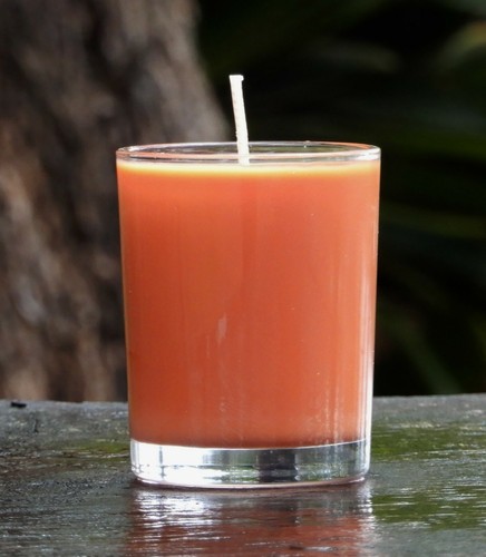 40hr Pure CITRONELLA Essential Oil SOY Sm Jar CANDLE Summer MOZZIE INSECT Repell - Picture 13 of 24