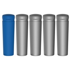 Cartridge + SmartChlor Cartridges for Frog Ease Spas 1+4 inLine