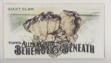 2020 Topps Allen & Ginter's Behemoths Beneath Minis Giant Clam #MGB-17 0v7