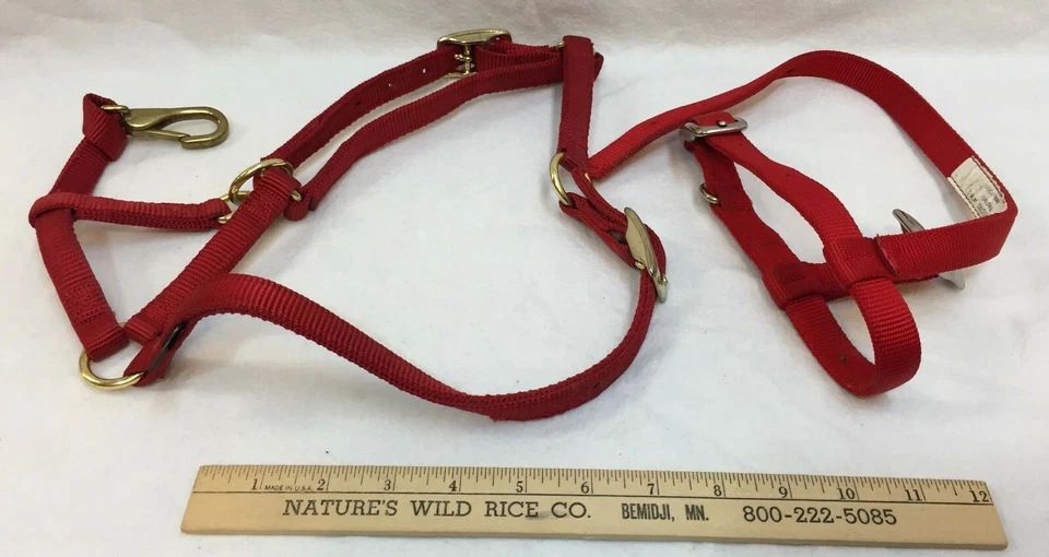 Lote de 2 hebillas de metal de doble capa de nailon rojo tejedor halter caballo pony y oveja Foto 4 de 4