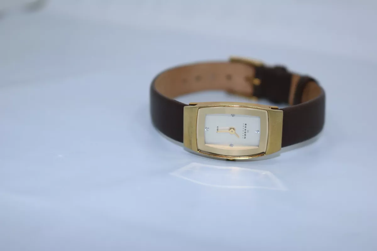 Skagen Steel 271SGLD Gold Tone Brown Leather Strap Watch New