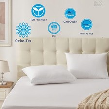 Goose Feather Down Pillow, Standard Size Soft Sleep, 100 Cotton Case, Set of 2