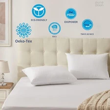 Goose Feather Down Pillow, Standard Size Soft Sleep, 100% Cotton Case, Set of 2