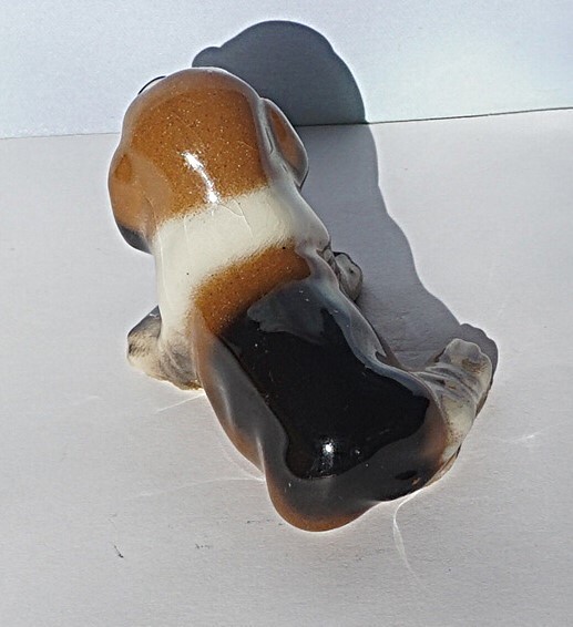 Foto 2 di 6