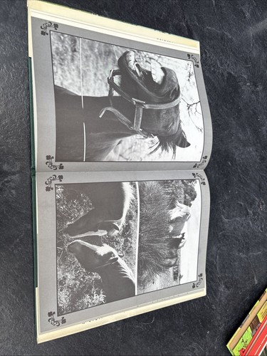 The Pony Club Annual 1978 - Picture 17 of 24