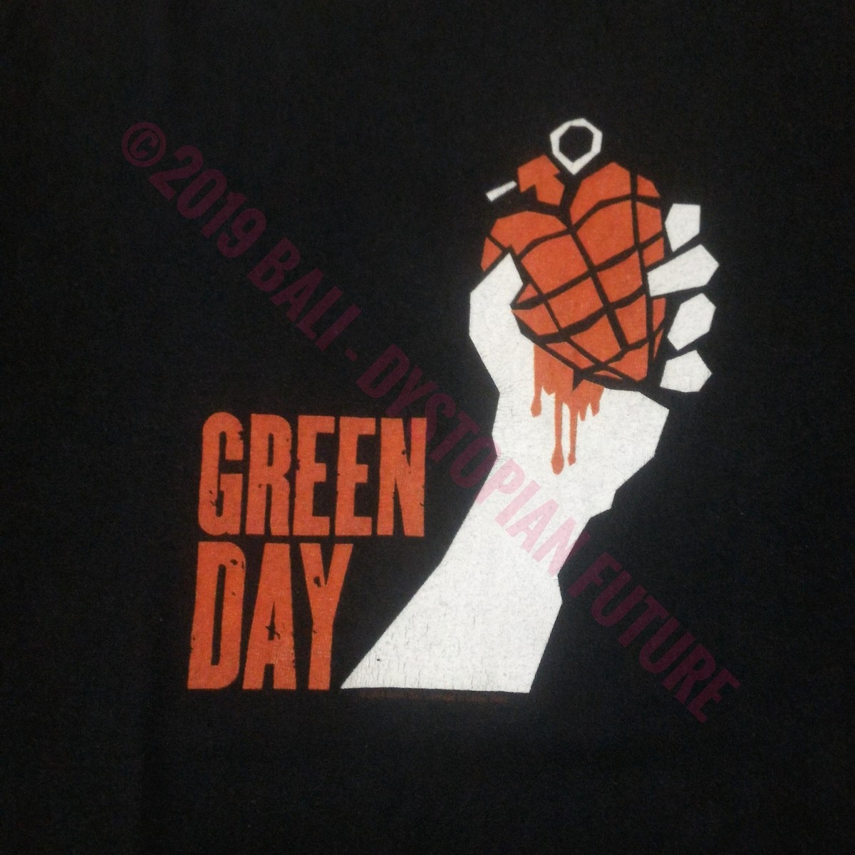 Vintage Green Day - American Idiot Tour 2004 Band T-shirt | eBay