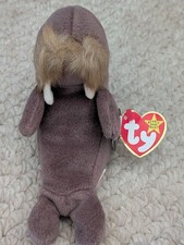 Rare TY 1966 Jolly Beanie Baby White Star 