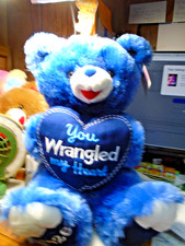 2026 Walmart Happy Valentines Day TEDDY BEAR YOU WRANLED MY HEART 22 Inches Tall
