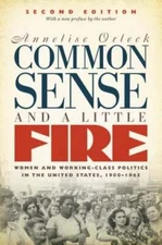 Common Sense and a Little Fire: Women and Working-Class Politics in the United