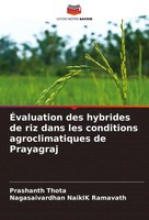 Prashanth Thota (U. A.) | ÉValuation Des Hybrides De Riz Dans Les Conditions...