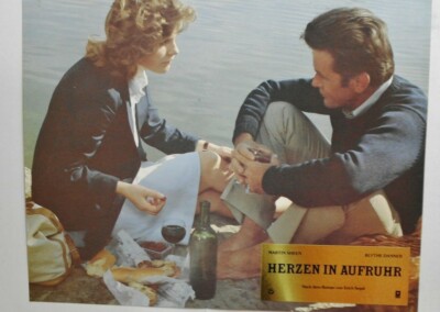Z149 Aushangfoto - HERZEN IN AUFRUHR Martin Sheen / Blythe Danner #9