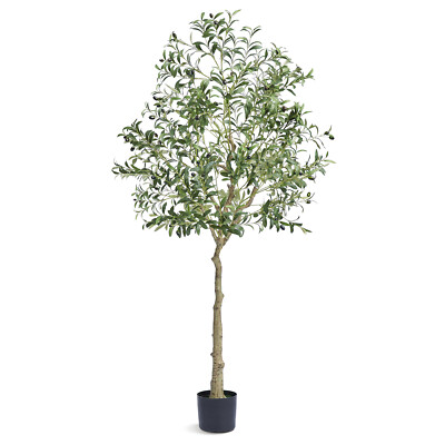 VEVOR Olivenbaum Knstlich Kunstbaum Plastikpflanzen Oliven PE 81x81x179cm  | eBay.de