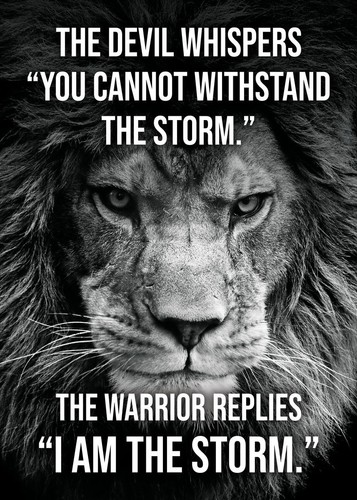Gym Motivational Posters Work Out Insperational Quotes Wall Art - Picture 20 of 28