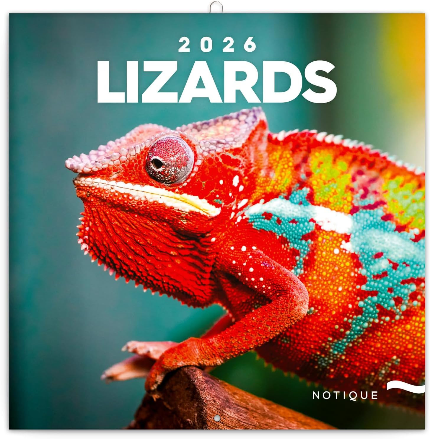 Wall Calendar 2026 Lizard Calendar, Brochure Calendar with Monthly Calendar, Bro