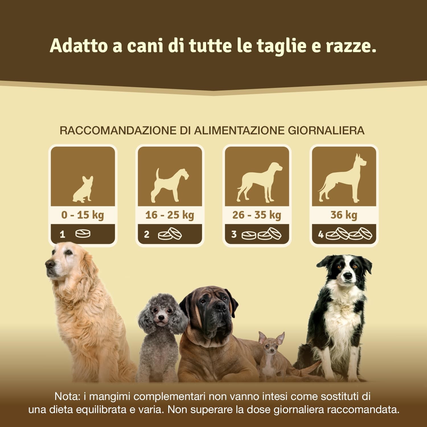 Veddelholzer VINCITORE 2024: Più Gioia e Movimento per il tuo Cane - 2