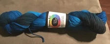 Done Roving - Frolicking Feet Hand Painted Superwash Merino Sock  Southwest Gem