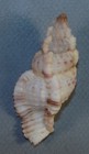 Bild 2 von 2